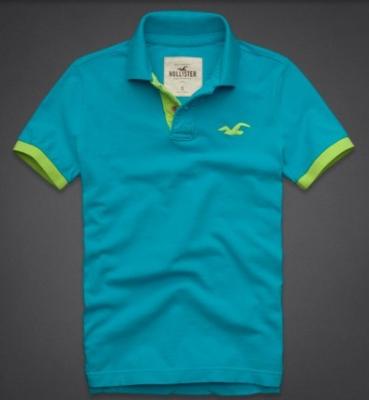 Hollister Men Shirts-397